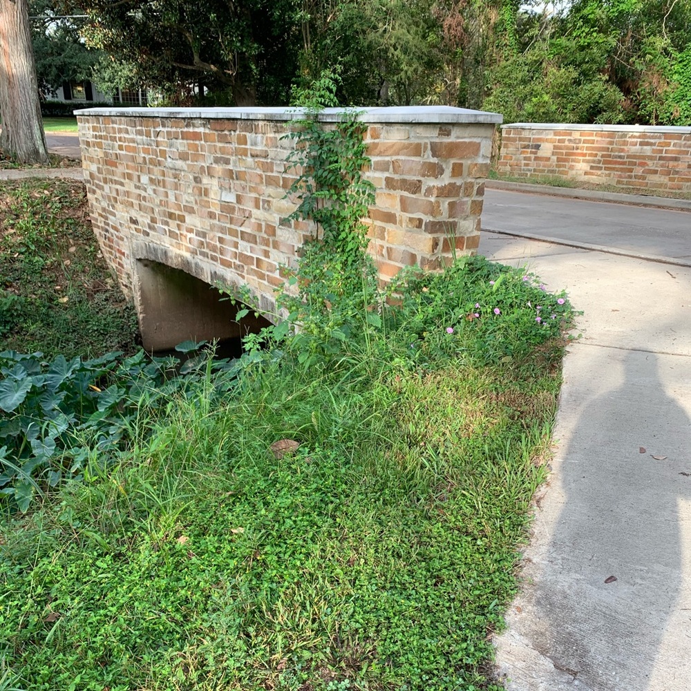 Meet your Posher, Danyale